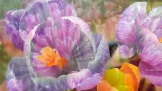 День рождения