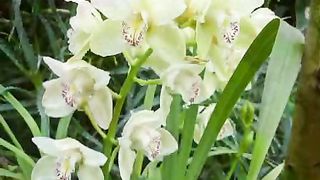 День рождения