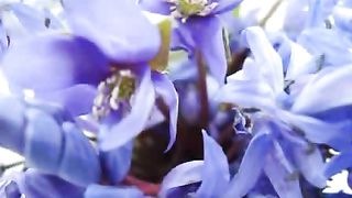 День рождения