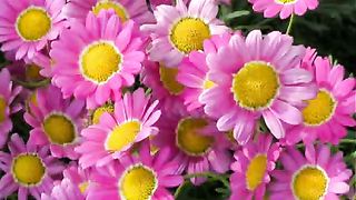 День рождения