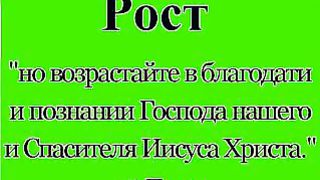 Евангельская истина в цветах