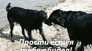 Как я друга встретил