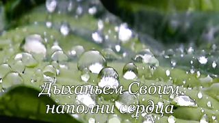 Как нам нужен дождь Твой