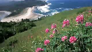 Кистью Творца созданы небеса