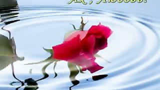 Любовь и Влюбленность