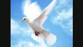 Никого не вини