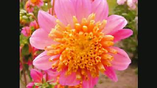 Никого не вини