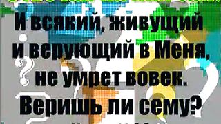 Отвечай на них сам