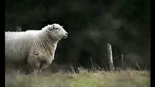 Псалом 22 - Господь - Пастырь мой