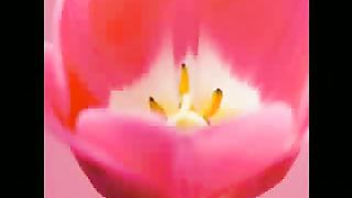 Псалом 22 - Господь - Пастырь мой