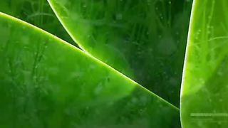 Прошу прощения у всех