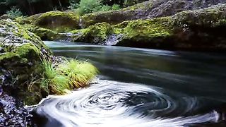 Прошу прощения у всех