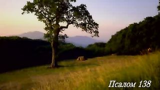 Псалом 138