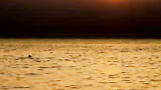 Учись прощать