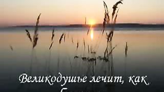 Учись прощать