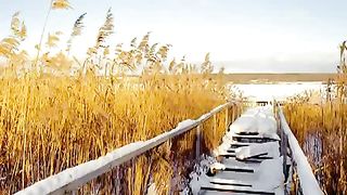 Эту песню Неба ангелы поют