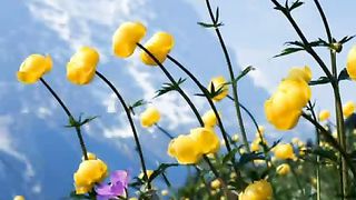 Эту песню Неба ангелы поют