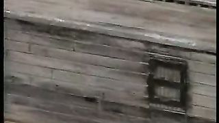 Сотворение мира в 21 веке - 27 Устройство Ноевого ковчега