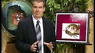 Сотворение мира в 21 веке -31 Иисус и сотворение 2