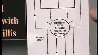 Сотворение мира в 21 веке - 36 Кровь питающая мозг