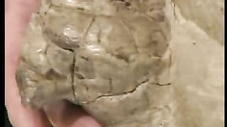 Сотворение мира в 21 веке - 37 Ископаемые датирование углерода