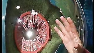 Сотворение мира в 21 веке - 43 Дни творения 2