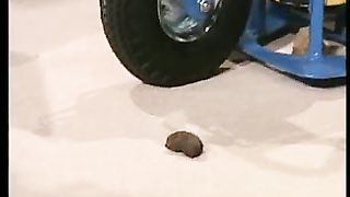 Сотворение мира в 21 веке - 55 Глубины раскопок