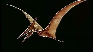 Сотворение мира в 21 веке - 30 Иисус и сотворение 1