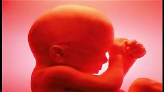 Луи Гиглио - Смотрите как велик наш Господь