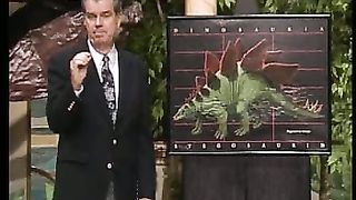 Сотворение мира в 21 веке - 49 Сокровище сотворения мира