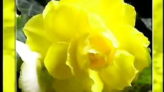 Я нуждаюсь в Тебе мой Спаситель караоке