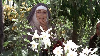 Брат Солнце сестра Луна (1972)