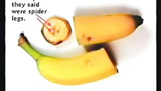 Кент Ховинд - возраст земли 1