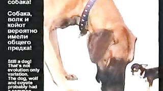 Кент Ховинд - Что в учебниках