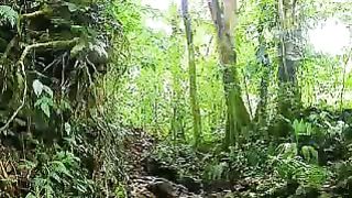 Chris Tomlin - Glory in the Highest