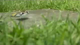 Отцы и дети Социальная реклама