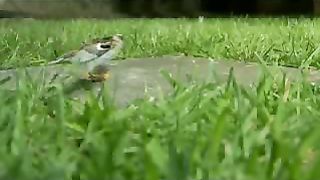 Отцы и дети Социальная реклама