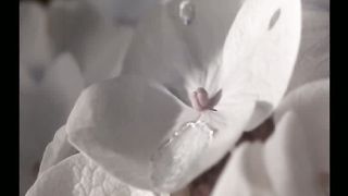 Светлана Копылова - Близнецы 2