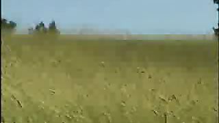 Моисей Стрижаус - Я хочу