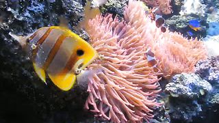 Находите время