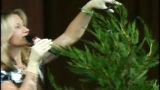 Валентина Подрез - Растение