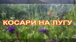 Косари на лугу 2