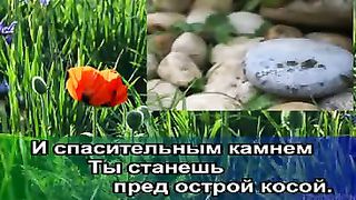 Косари на лугу 2