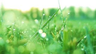 Доброта Караоке