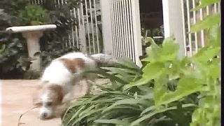 Ник Вуйчич 3