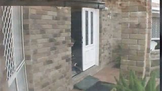 Ник Вуйчич 3