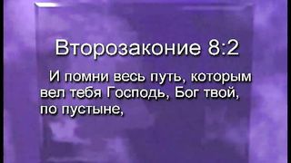 Брюс Уилкинсон - Испытание вашей веры 5
