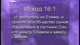 Брюс Уилкинсон - Испытание вашей веры 5