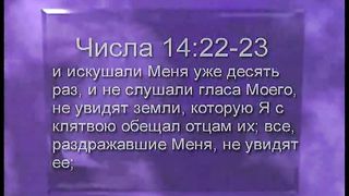 Брюс Уилкинсон - Испытание вашей веры 6