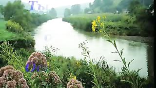 Милости Твоей полна вся земля